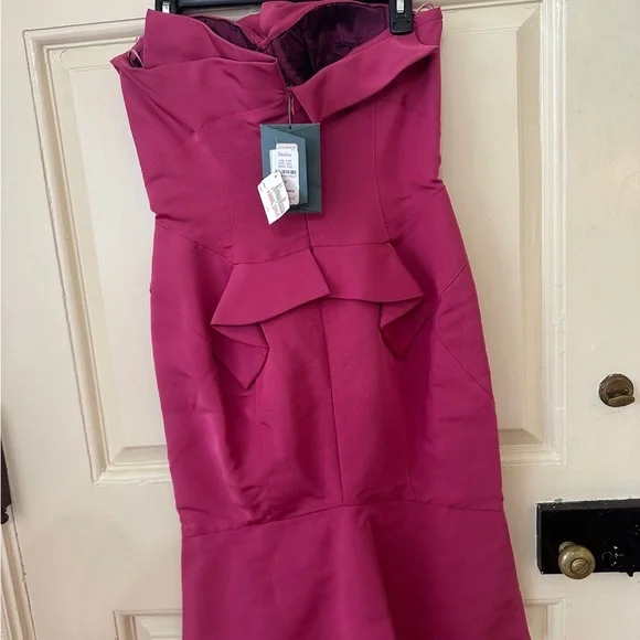 Zac Posen Pink Dress with Elegant Design